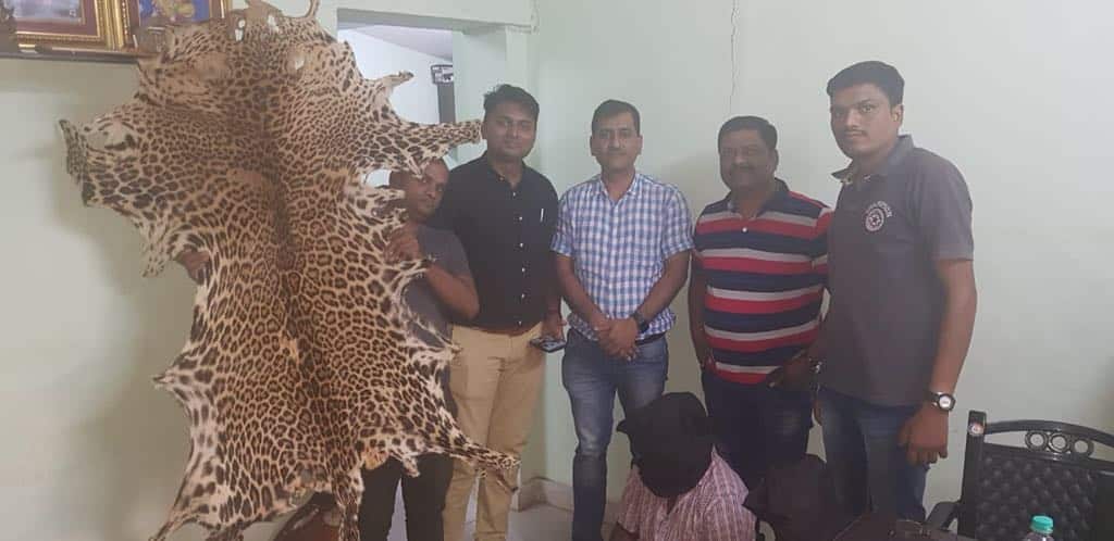 Gang selling the leopard's skin arrested by police बिबट्याची कातडी विकणारी टोळी जेरबंद
