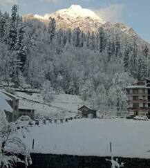 हिमाचल प्रदेशमध्ये जोरदार बर्फवृष्टी