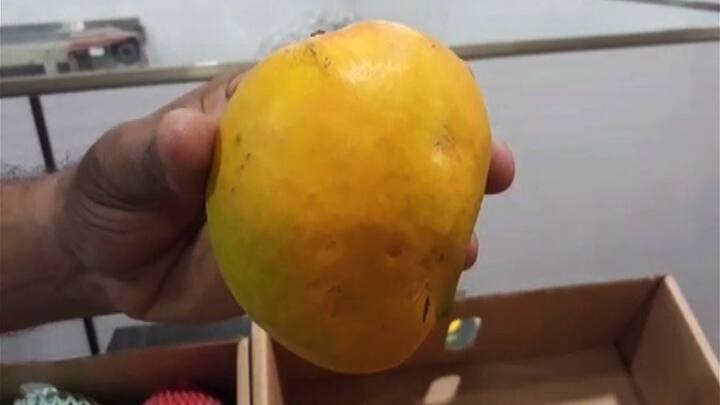  2017 साली या आंब्याचं पहिलं उत्पादन घेण्यात आलं होतं. 