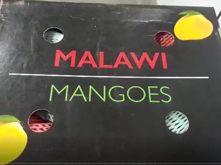 2011 मध्ये दापोलीच्या हापूस आंब्याच्या फांद्या मालवीमध्ये नेऊन त्यावर प्रयोग केला आणि नवीन आंब्याची रोपं तयार करून मालवी आंब्याचं उत्पादन घेतलं आहे.