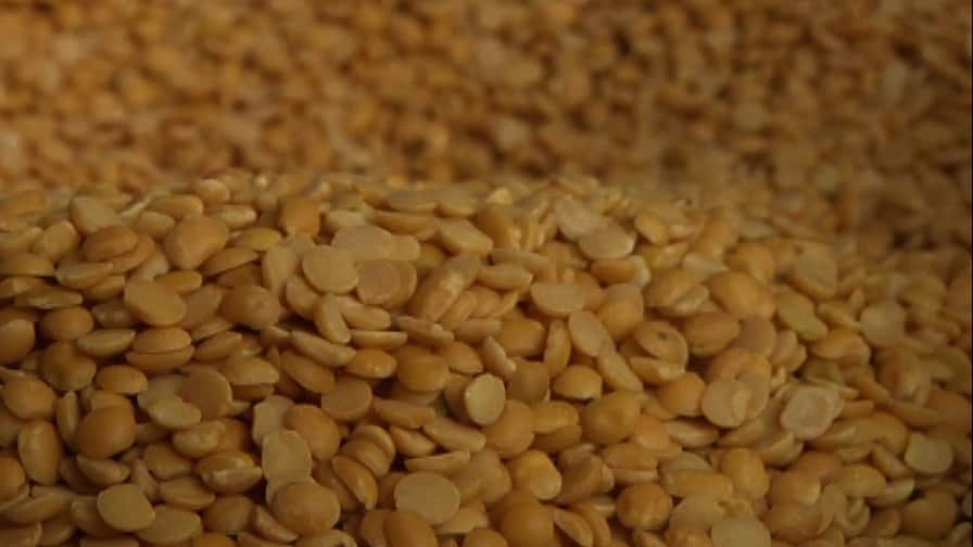 डाळी महागल्या, किलोमागे 10 ते 15 रुपयांची वाढ pulses rate hike डाळी महागल्या, किलोमागे 10 ते 15 रुपयांची वाढ
