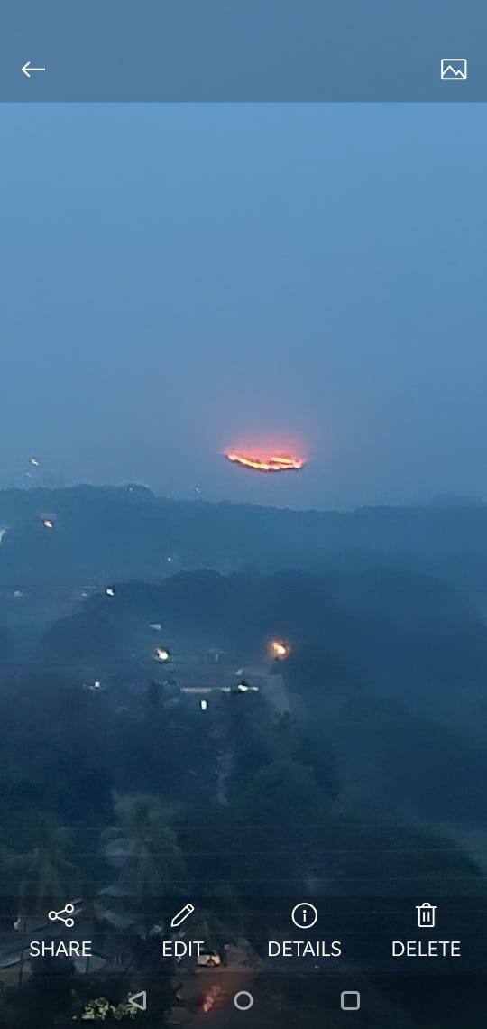 या आगीत जंगलातील झाडांचं नुकसान तर होणारच आहे, तसेच वन्य प्राण्यांची मोठी हानी होण्याची शक्यता वर्तवली जात आहे. या आगीची भीषण दृश्य दूरपर्यंत दिसत आहेत.