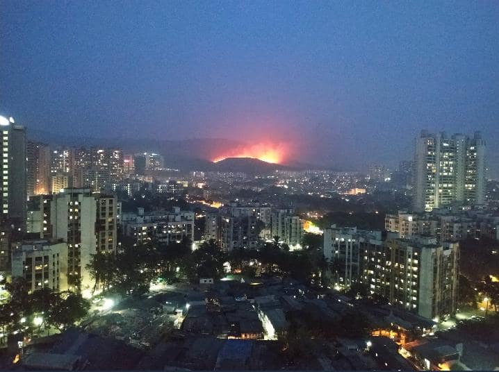  सुके गवत असल्याने मोठा प्रमाणात ही आग जंगलात पसरत आहे. 
