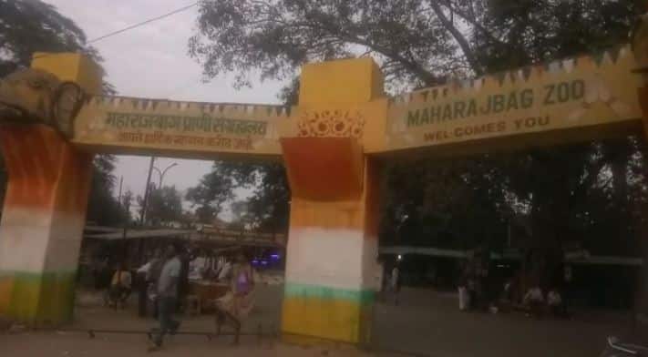 नागपूरचे महाराजबाग प्राणीसंग्रहालय बंद होणार ! Nagpur's MaharajBagh zoo will be closed! नागपूरचे महाराजबाग प्राणीसंग्रहालय बंद होणार !