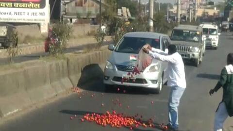 टोमॅटो फेकल्याने सदाभाऊ चिडले, म्हणाले चिलटासारखं आंदोलन करु नका टोमॅटो फेकल्याने सदाभाऊ चिडले, म्हणाले चिलटासारखं आंदोलन करु नका