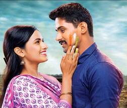 'लागिरं झालं जी'तील कलाकारांचे फोटो छापणं आयोजकाला महागात