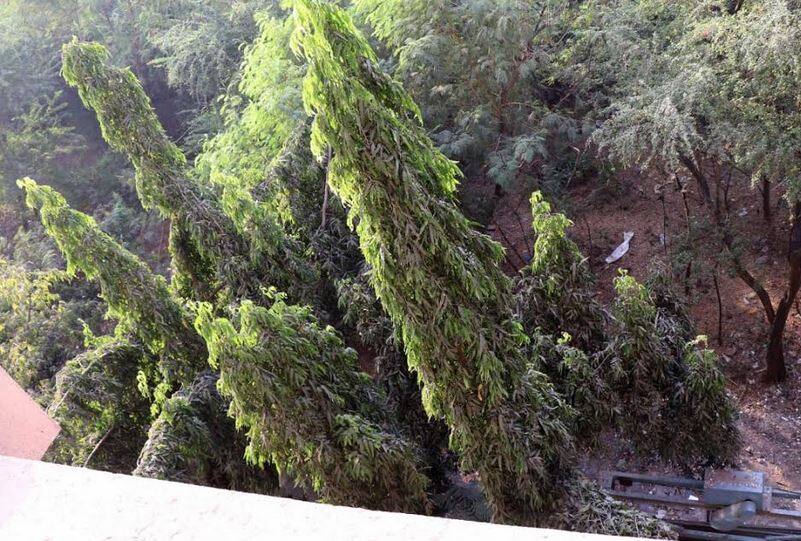 15 years boy fell down 4 th floor in mumbai चौथ्या मजल्यावरुन पडूनही चिमुरडा सुखरुप