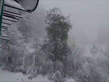 बर्फच बर्फच चोहीकडे.... मनालीत अफलातून बर्फवृष्टी