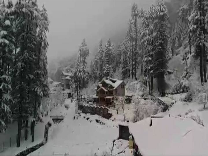 हिरवीगार झाडंही बर्फाच्या चादरीने झाकून गेली आहेत. 