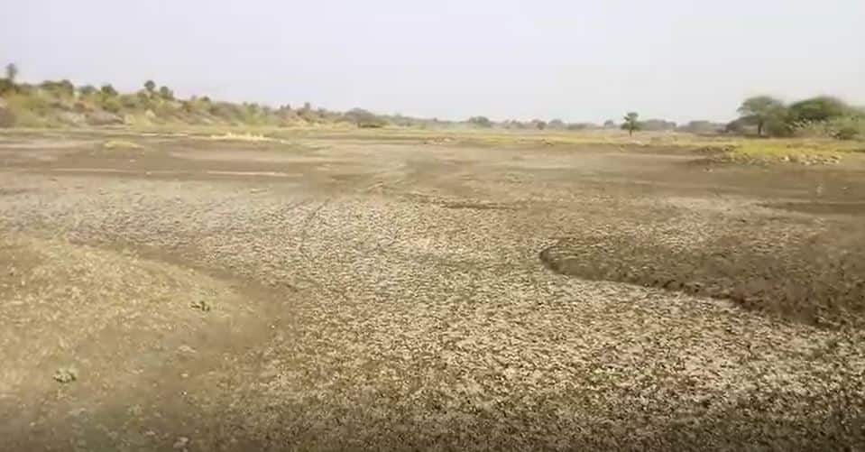 सोलापुरात अधिकाऱ्यांचं कोरड्या तलावातून पाण्याचं नियोजन Planning of drinking water in dry lake in Solapur सोलापुरात अधिकाऱ्यांचं कोरड्या तलावातून पाण्याचं नियोजन