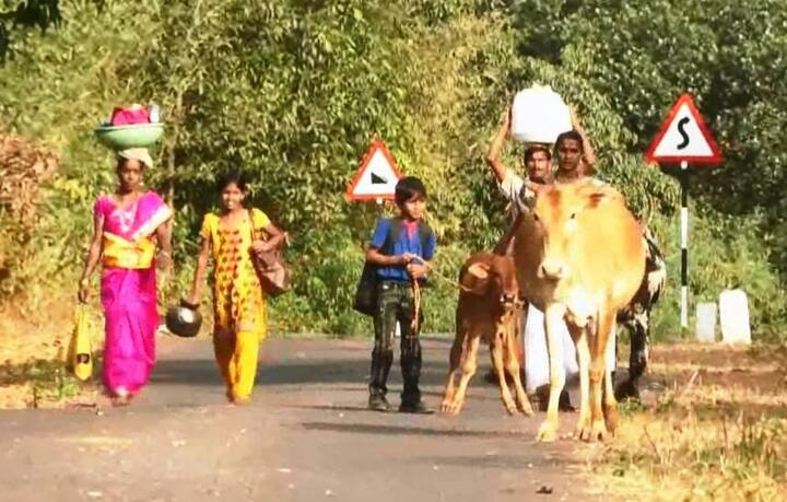 शिराळेवासियांचा आपल्या श्री.देव गांगेश्वरावर पूर्ण विश्वास आहे. देवाचा हुकूम घेऊन ग्रामस्थ गाव सोडतात. परत हुकूम घेऊन गावात परततात. शिराळे गावात 80 कुटुंब असून सुमारे 350 लोकसंख्या असणारं गाव आहे.