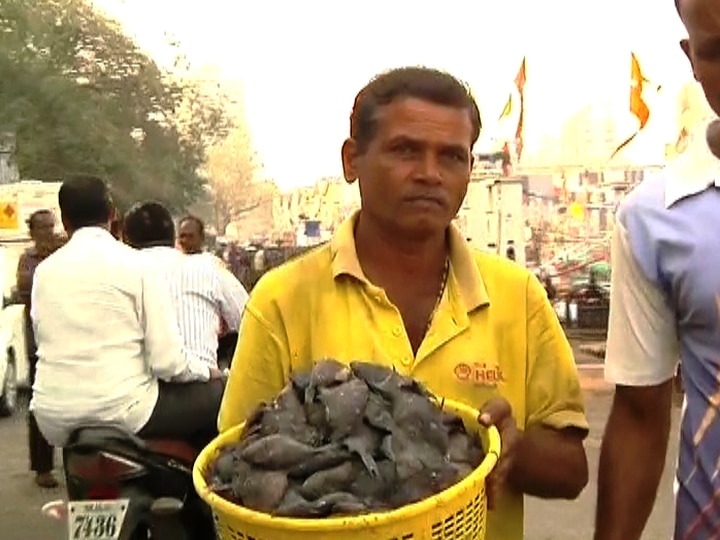 दुसरीकडे अनेक संघटनांनी केंद्रीय समुद्री मात्सकी संशोधन संस्था तसंच राज्य सरकारकडे याबाबत पत्र लिहून तक्रार केली आहे. सीएमएफआरच्या शास्त्रज्ञांनी या माशावर संशोधन सुरु केलं आहे. 