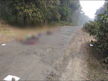 गडचिरोलीत नक्षलवाद्यांकडून तिघांची हत्या