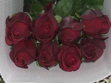 \'व्हॅलेंटाईन्स डे\'च्या तोंडावर गुलाब महागणार!