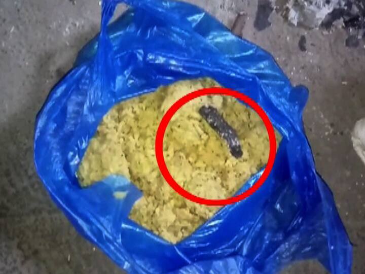 जिल्हा परिषद शाळेतील खिचडीत निघाला साप Nandeds ZP school, snake found in the Mid day meal जिल्हा परिषद शाळेतील खिचडीत निघाला साप