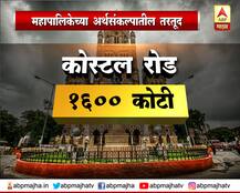 महापालिकेच्या अर्थसंकल्पातील तरतूदी