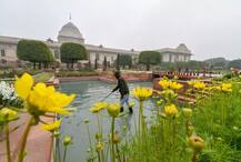 राष्ट्रपती भवनातील मुघल गार्डनमध्ये फुलांचा मनमोहक गालिचा