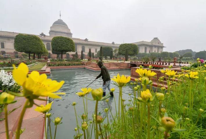 या मुघल गार्डनला स्पिरिचुअल गार्डन म्हटलं तरी हरकत नाही, कारण इथे चंदन, बेर, रुद्राक्ष, खजूर, क्रिसमस-ट्री, कल्पवृक्ष, खैर यासारख्या औषधी वनस्पतींचादेखील समावेश आहे. 
