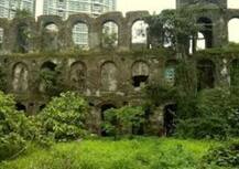 शक्ती मिल गँगरेप : हत्या-बलात्काराच्या क्रौर्याची तुलनाच अशक्य, फाशी योग्य, राज्य सरकारचा कोर्टात दावा