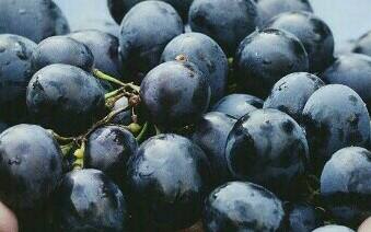 अग्रजचा खाजगी कृषी मूल्य आयोग