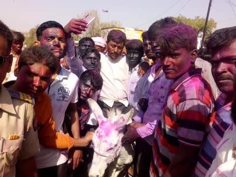 धुळवडला जावयाची गाढवावरून धिंड काढण्याची प्रथा धुळवडला जावयाची गाढवावरून धिंड काढण्याची प्रथा