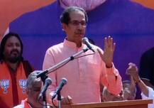 शरद पवारांना लाज, लज्जा शरम काहीच राहिली नाही, उद्धव ठाकरेंची टीका