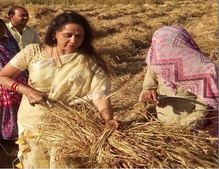  'ड्रीम गर्ल' अर्थात अभिनेत्री हेमा मालिनी यांनी अनोख्या पद्धतीने आपल्या निवडणूक प्रचाराला सुरुवात केली आहे.