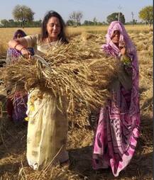 हेमा मालिनी यांची शेतातून प्रचाराला सुरुवात, फोटो व्हायरल