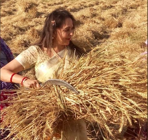 हेमा मालिनी यांच्या या अनोख्या प्रचाराची सध्या सर्वत्र चर्चा सुरु आहे. हेमा मालिनी यांचे हे शेतातील फोटो सोशल मीडियावर चांगलेच व्हायरल होत आहेत.