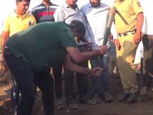 हातात फावडं घेत उदयनराजेंचं पाणी फाऊंडेशनच्या चळवळीत श्रमदान