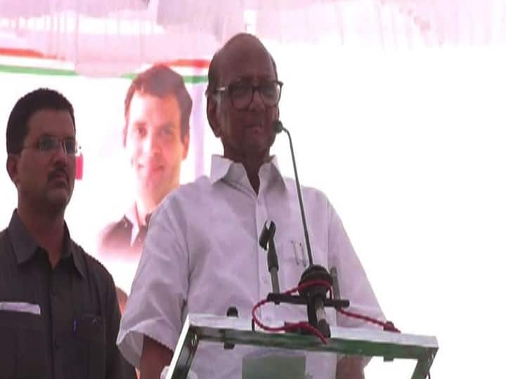 आता फक्त संघाची हाफ चड्डी घालून मांड्या दाखवू नका, शरद पवारांचं मोहिते-पाटलांवर टीकास्त्र sharad pawar counters mohite patil for joining bjp latest updates आता फक्त संघाची हाफ चड्डी घालून मांड्या दाखवू नका, शरद पवारांचं मोहिते-पाटलांवर टीकास्त्र