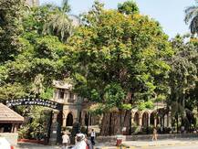 आयपीएलमधील ध्वनी प्रदूषणाबाबत तक्रार करणारी याचिका हायकोर्टानं फेटाळली