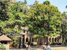 लॉकडाऊन दरम्यान मुंबई पोलिसांच्या मारहाणीत मृत्यू? 'कारवाईचा अहवाल 6 ऑगस्टपर्यंत सादर करा' - हायकोर्ट