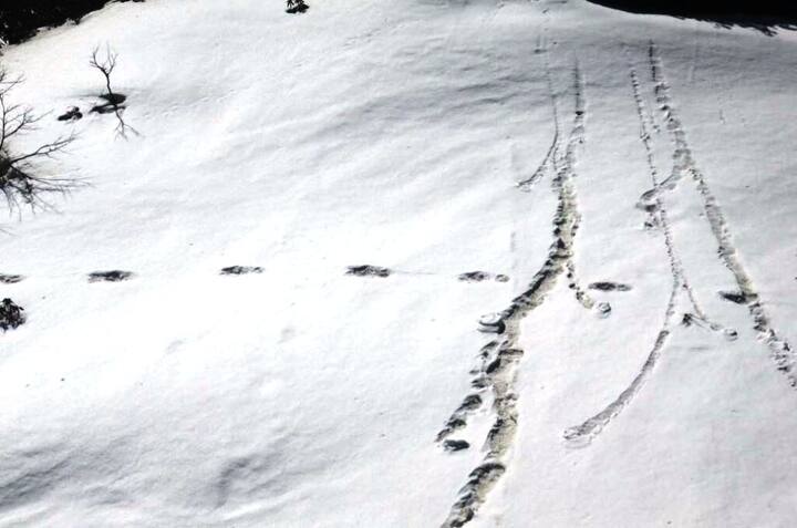 मकालू-बारुन नॅशनल पार्कच्या याच परिसरात पूर्वीही हिममानवाचं ओझरतं दर्शन घडल्याचा दावा करण्यात आला होता.