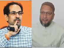 मोदींना हरवण्याची भाषा करणाऱ्या पोपट मास्तरांची कोलांटउडी, ओवेसींचा शिवसेनेवर बोचरा वार