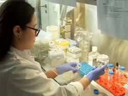 जर्मन शास्त्रज्ञांनी तयार केले पारदर्शक मानवी अवयव