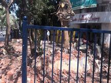 बीएमसी दुटप्पीपणा करतेय, बिग बीने सेटिंग केली का? उद्योगपती के. व्ही सत्यमूर्ती यांचा सवाल