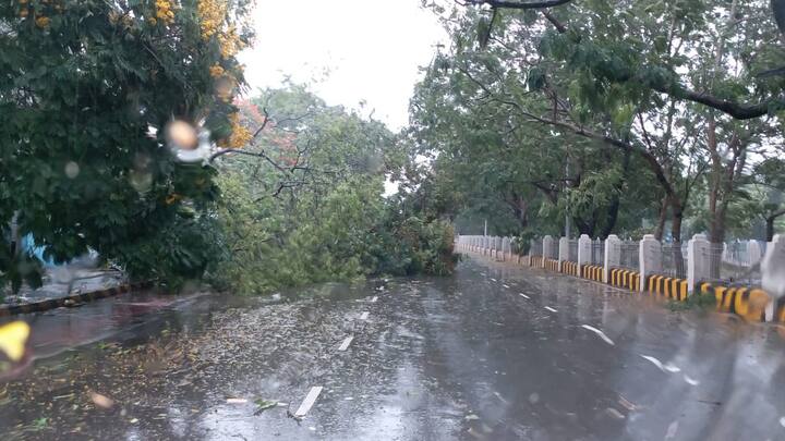फनी चक्रीवादळामुळे ओदिशातल्या अनेक रस्त्यावर वस्तूंचा खच पडला