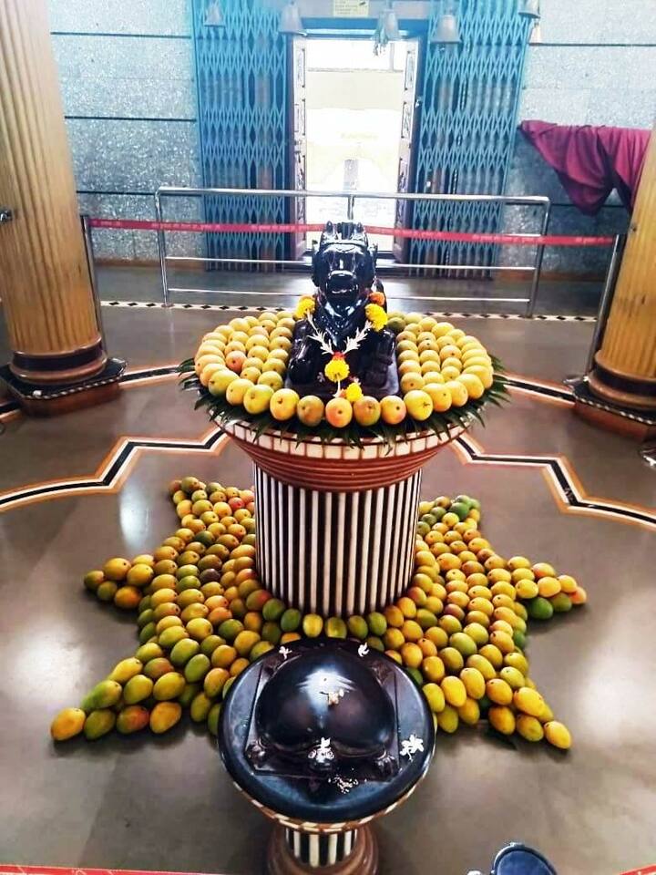 देवगडमधील आंबा उत्पादक शेतकऱ्यांनी दैवत असलेल्या श्री क्षेत्र कुणकेश्वर चरणी 4000 हापूस आंब्याची आरास केली आहे.