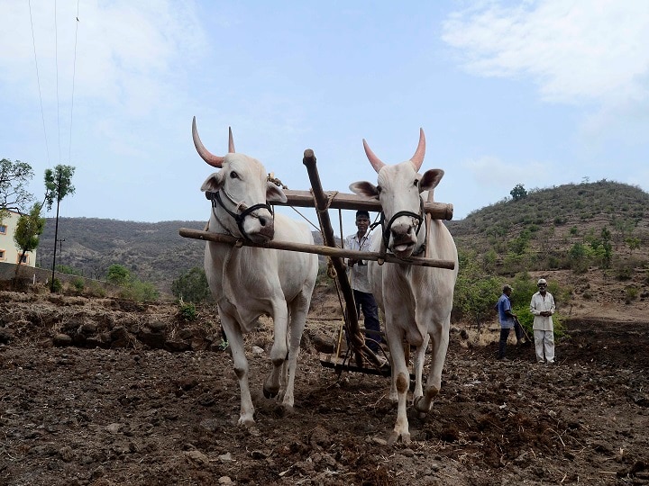 Farmer resource bank in Maharashtra Agriculture minister Dada bhuse says राज्यात प्रयोगशील शेतकऱ्यांची 'रिसोर्स बॅंक' होणार, उत्पादनवाढीसाठी शेतकऱ्यांना मार्गदर्शन