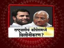 राष्ट्रवादी पक्ष काँग्रेसमध्ये विलीन होणार? राहुल गांधी शरद पवारांच्या भेटीला