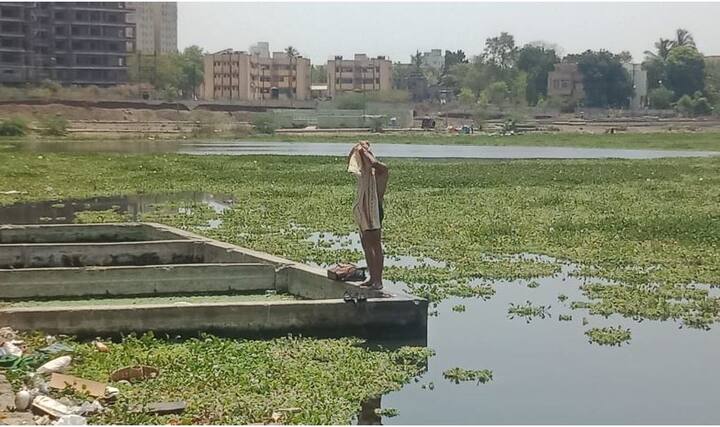 सोलापूरचे फुफ्फुस अशी ओळख असलेल्या धर्मवीर संभाजी तलावाची अवस्था अत्यंत बिकट झाली आहे. 'कंबर तलाव' या नावानेही तो ओळखला जातो.
