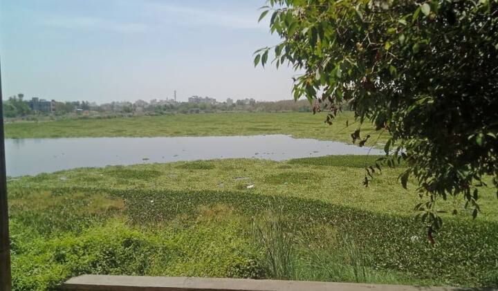 गेल्या सहा-सात वर्षांपासून तलावाची अशीच अवस्था आहे. सामाजिक संस्था, नागरिक आणि प्रशासन यांच्या वतीने श्रमदान करुन जलपर्णी काढली मात्र दुसरा दिवस उजाडत नाही तोपर्यंत पुन्हा जलपर्णी पसरलेली असते. म्हणून यावर आता कायमचा तोडगा काढण्याची आवश्यकता आहे. 