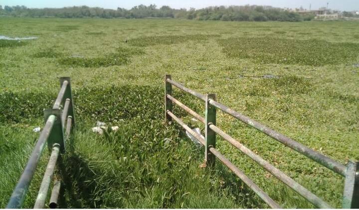 निविदा निघूनही कोणीच सुशोभीकरणाचे काम घ्यायला तयार नसून यावेळेसचा निधीही परत जाण्याची शक्यता असल्याचा आरोप पर्यावरण प्रेमींनी केला आहे. 