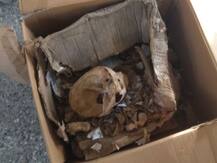 पुण्यात हत्या झालेल्या तरुणाच्या सांगाड्यावर 17 वर्षांनी अंत्यसंस्कार