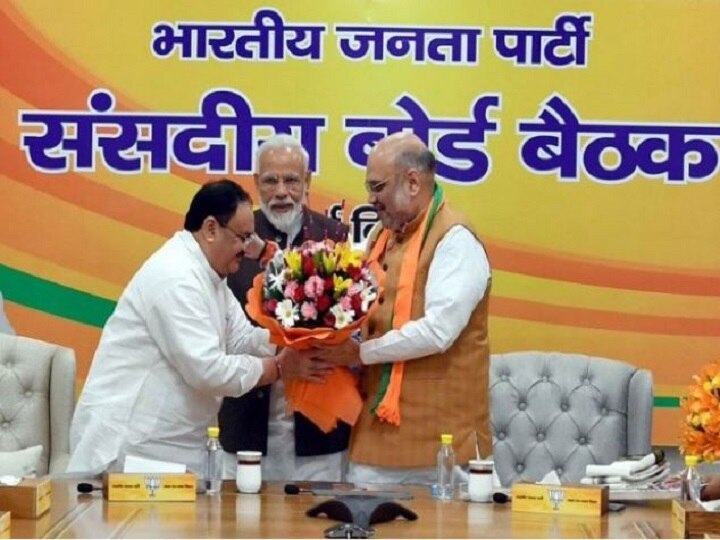 JP Nadda Appointed BJP Working President, Amit Shah to Remain party chief जे. पी. नड्डा भाजपचे नवे कार्यकारी अध्यक्ष, पण राष्ट्रीय अध्यक्ष अमित शाहाच