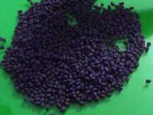 खरीप हंगामाच्या तोंडावर बोगस बियाणं विकणाऱ्यांचा सुळसुळाट, करोडो रुपयांचं बियाणं जप्त