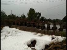 मोठ्या प्रतीक्षेनंतर मराठवाड्यात पाऊस बरसला, बीडमध्ये पहिल्या पावसाचं पूजन, सोलापुरातही पावसाचं आगमन