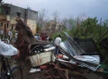वादळी वाऱ्यामुळे घरावर झाड कोसळले, बुलडाण्यात आईसह दोन चिमुरड्यांचा दुर्देवी मृत्यू