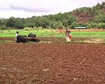 जून सरत आला तरी महाराष्ट्राचं चेरापुंजी समजलं जाणारं \'किटवडे\' तहानलेलंच!